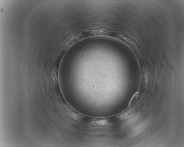 X0000067520665200604101328