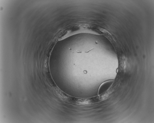 X0000067520667200604101328