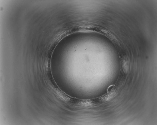 X0000067520668200604101328