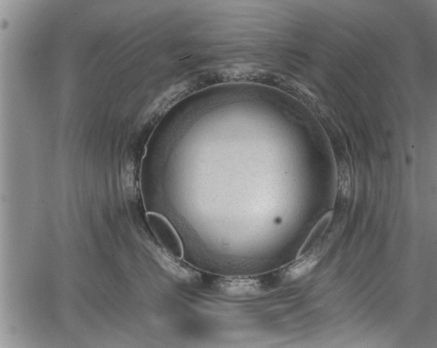 X0000067520670200604101328