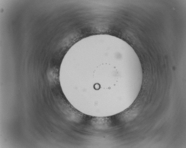 X0000067520672200604101328