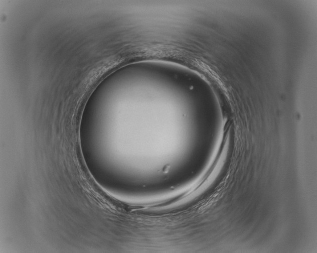 X0000067520673200604101327