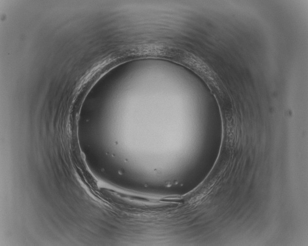 X0000067520674200604101327