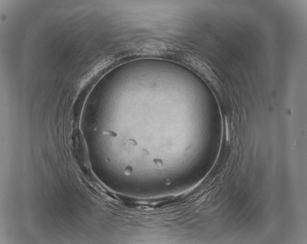 X0000067520675200604101327