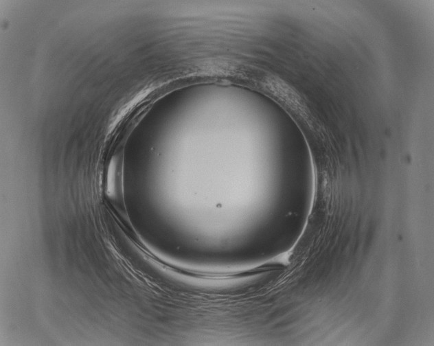 X0000067520676200604101327