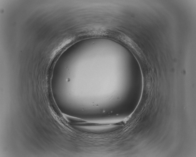 X0000067520677200604101327