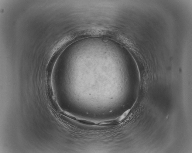 X0000067520679200604101327