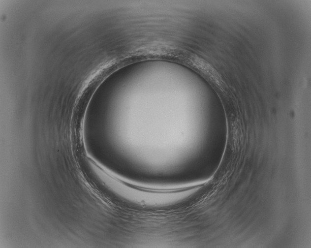 X0000067520680200604101327