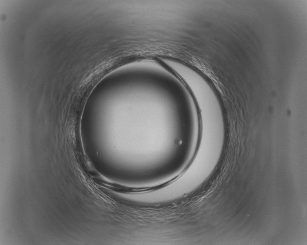 X0000067520681200604101327