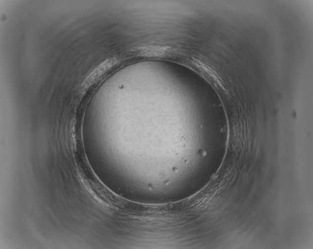 X0000067520682200604101327