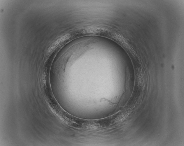 X0000067520683200604101327