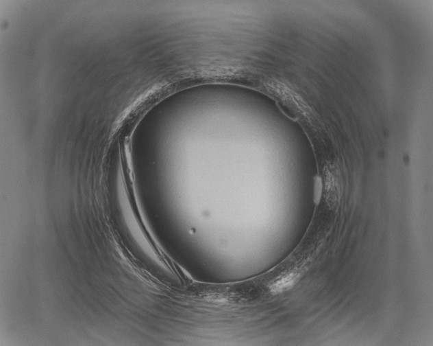 X0000067520684200604101327