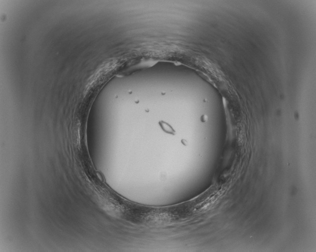 X0000067520685200604101327