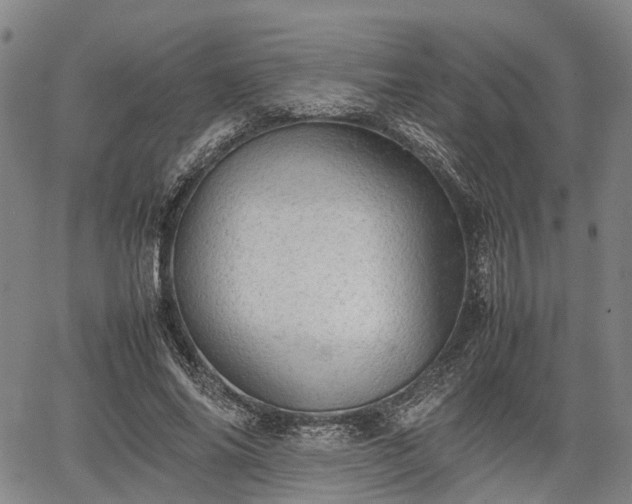 X0000067520686200604101327