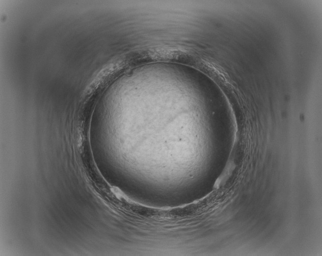 X0000067520687200604101327