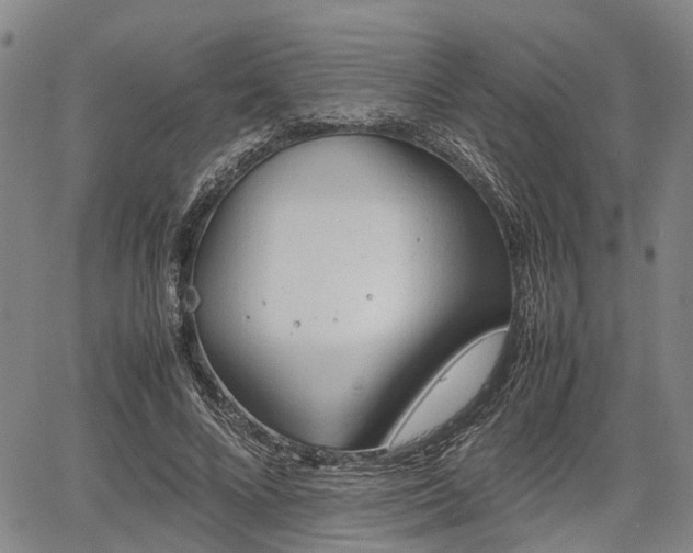 X0000067520688200604101327