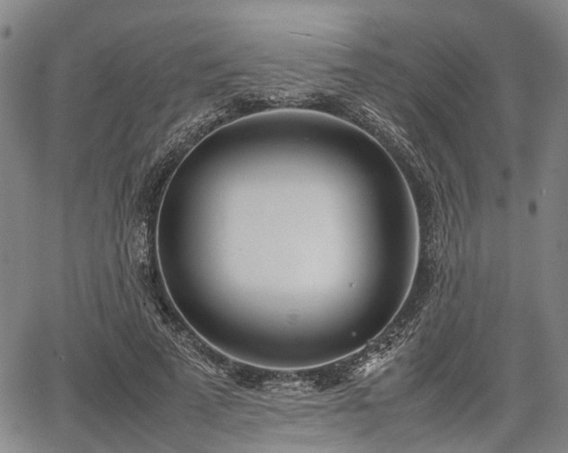 X0000067520689200604101327