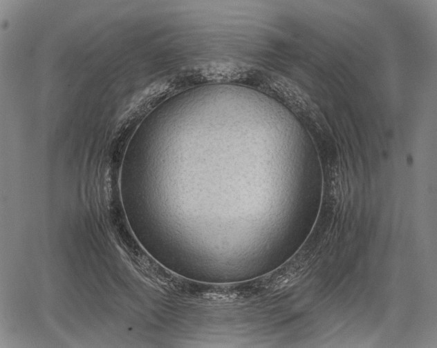 X0000067520690200604101327