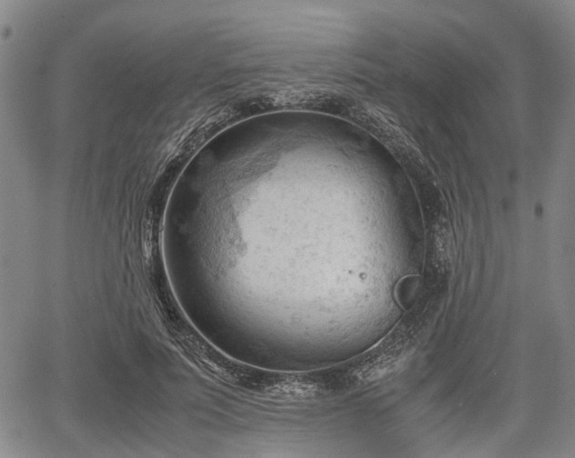 X0000067520691200604101327