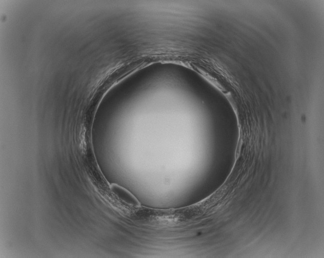 X0000067520692200604101327