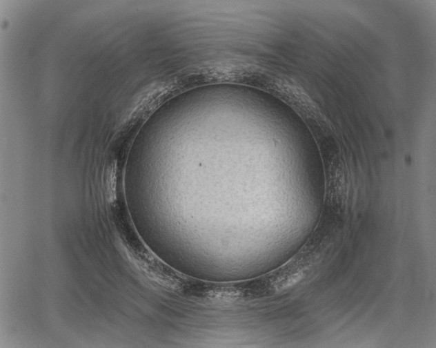 X0000067520694200604101327