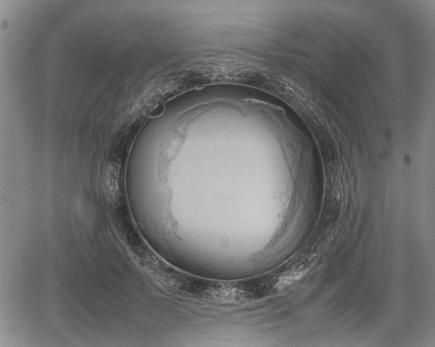 X0000067520695200604101327