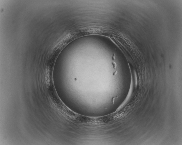 X0000067520696200604101327