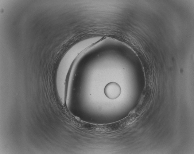 X0000067520697200604101327