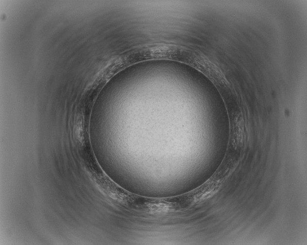 X0000067520698200604101327