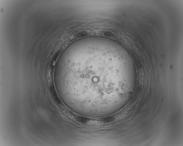 X0000067520699200604101327