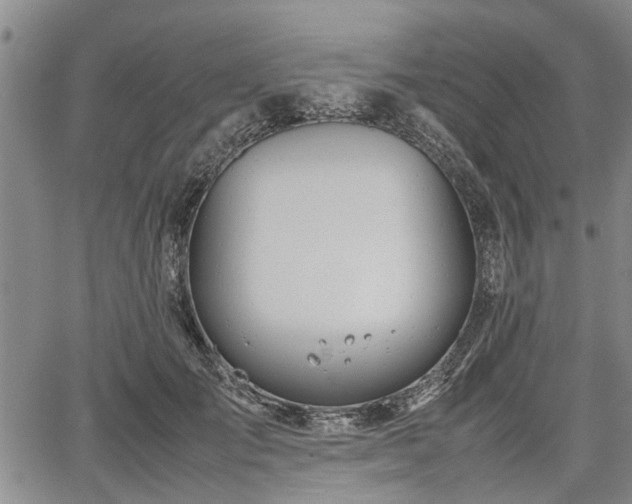 X0000067520701200604101327