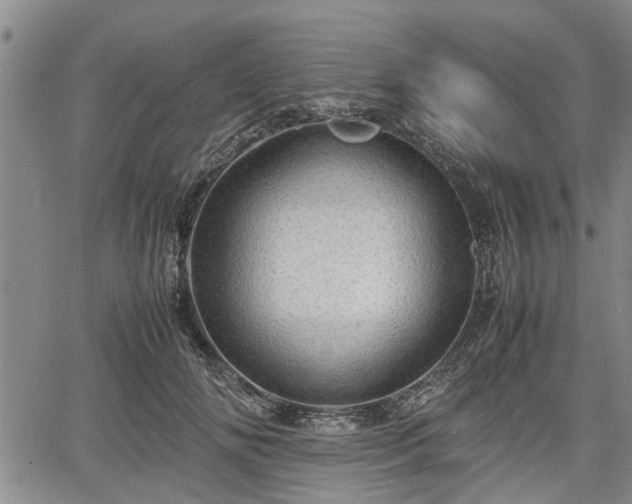 X0000067520702200604101327