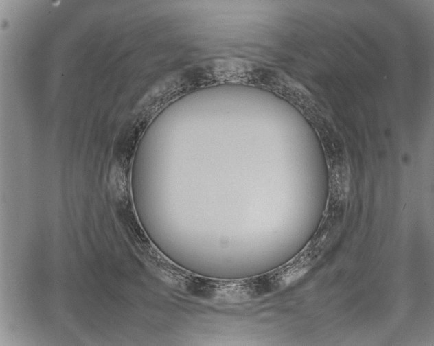 X0000067520705200604101327