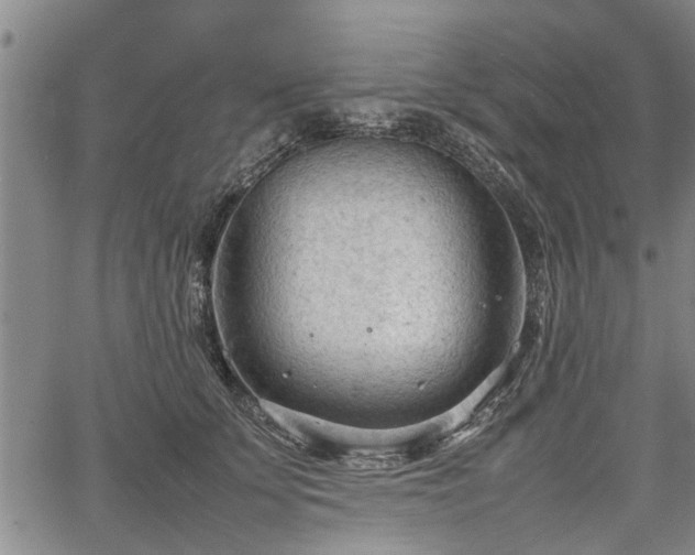 X0000067520707200604101327