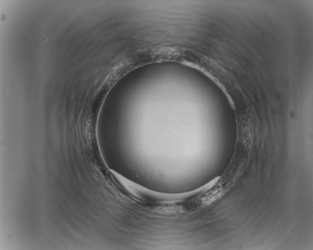 X0000067520708200604101327