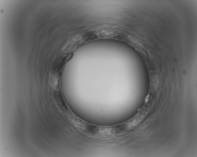 X0000067520709200604101326