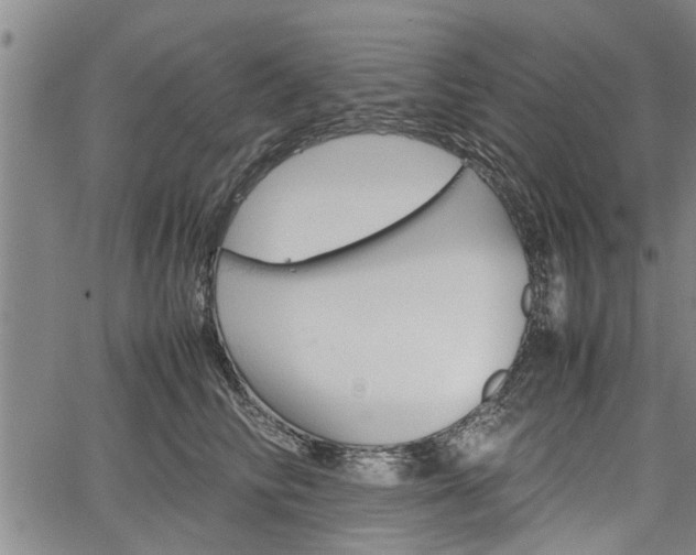 X0000067520710200604101326