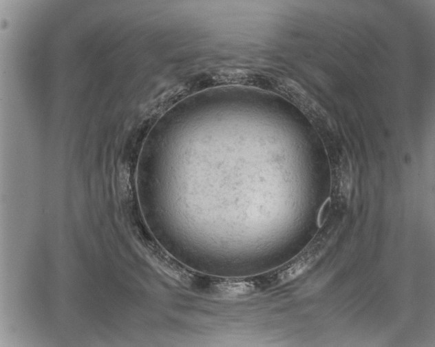 X0000067520711200604101326