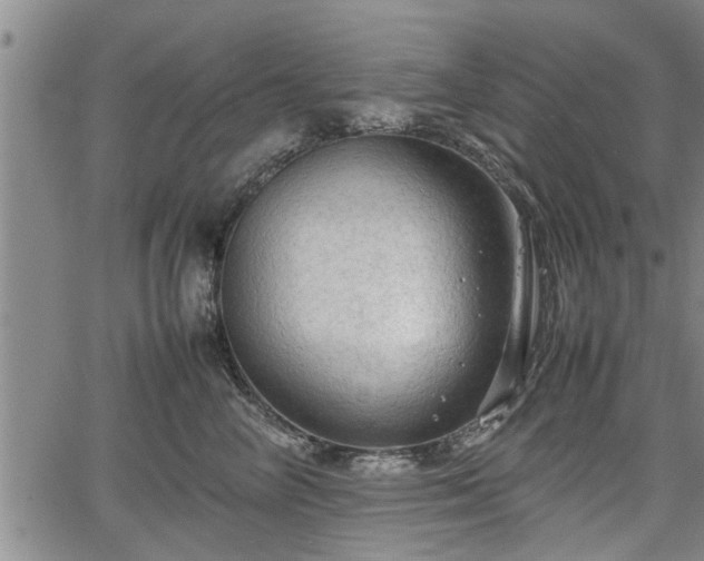 X0000067520714200604101326