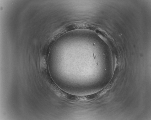 X0000067520715200604101326