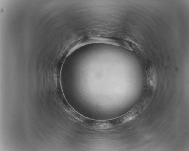 X0000067520716200604101326