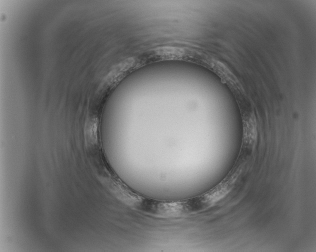 X0000067520717200604101326