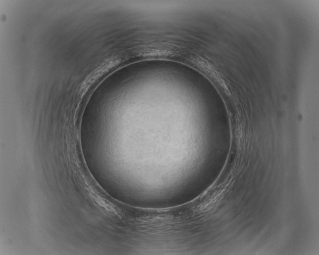 X0000067520721200604101326