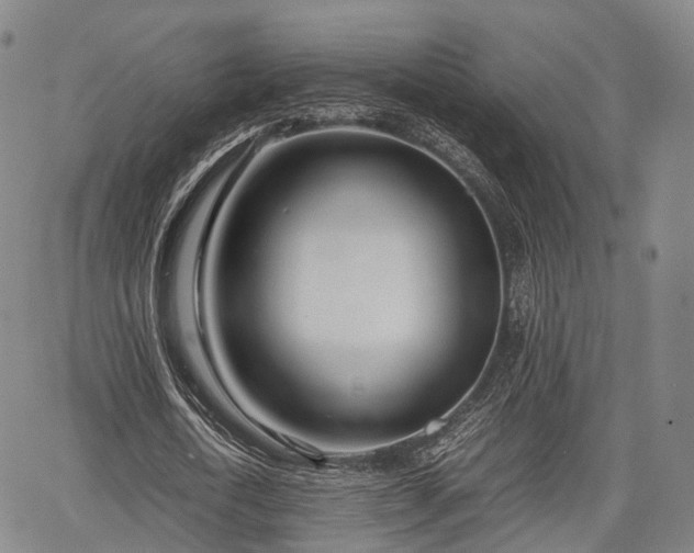 X0000067520722200604101326