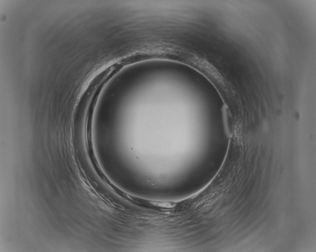 X0000067520724200604101326