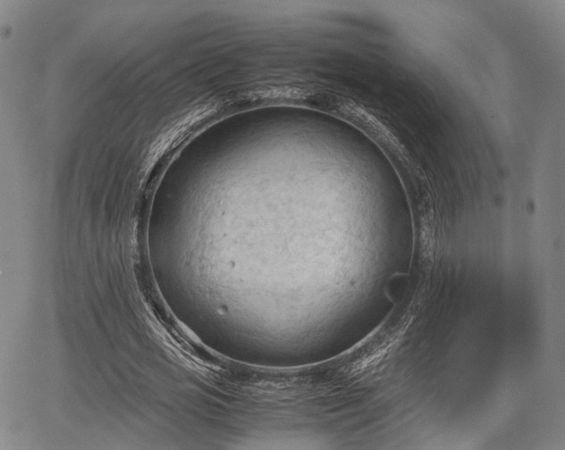 X0000067520725200604101326