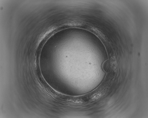 X0000067520727200604101326