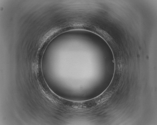 X0000067520728200604101326