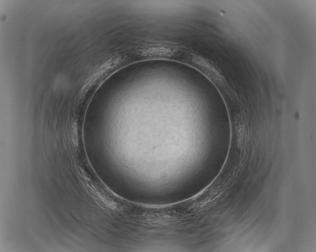 X0000067520729200604101326