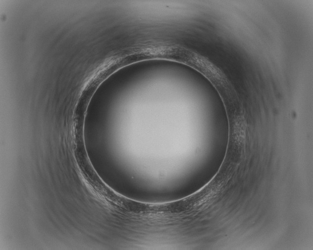 X0000067520730200604101326